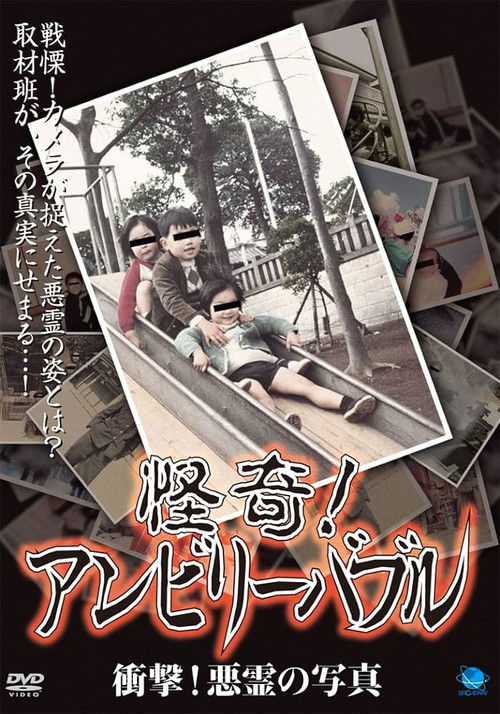 怪奇！アンビリーバブル 衝撃！悪霊の写真 (2008) poster