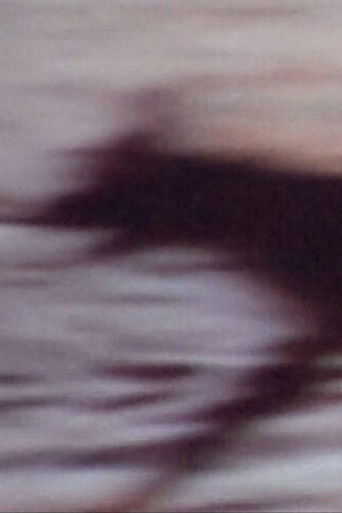 Rituales de registro (2023) poster