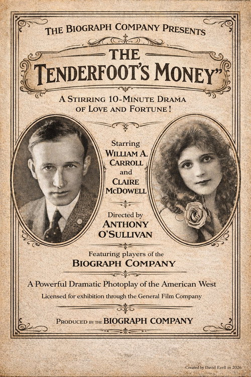 The Tenderfoot's Money (1913) poster