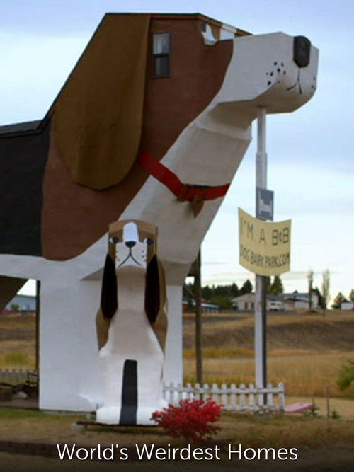 World's Weirdest Homes (2015) poster