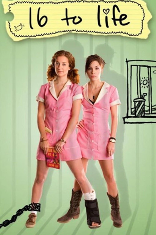 16 to Life (2009) poster
