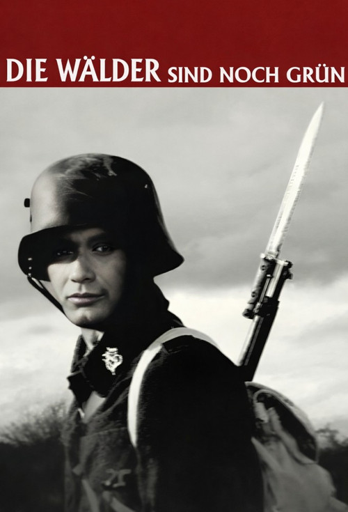 Die Wälder sind noch grün (2014) poster