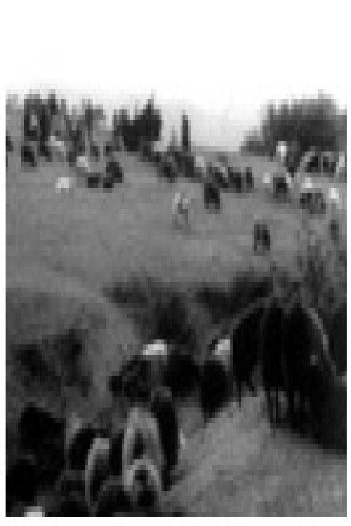 Последни номади (1964) poster