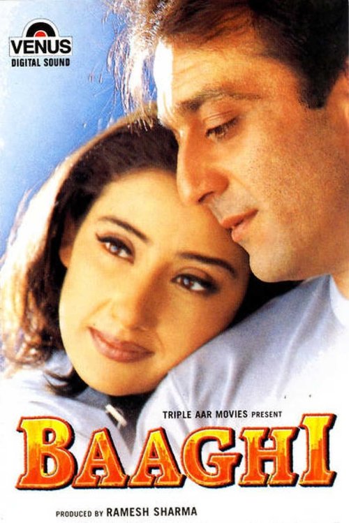 Kader / Baaghi (2000) poster