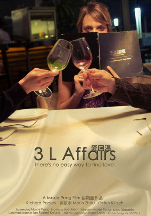 3 L Affairs (2011) poster