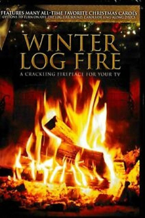 Winter Log Fire (2017) poster