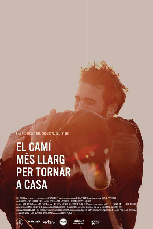 El camí més llarg per tornar a casa (2015) poster