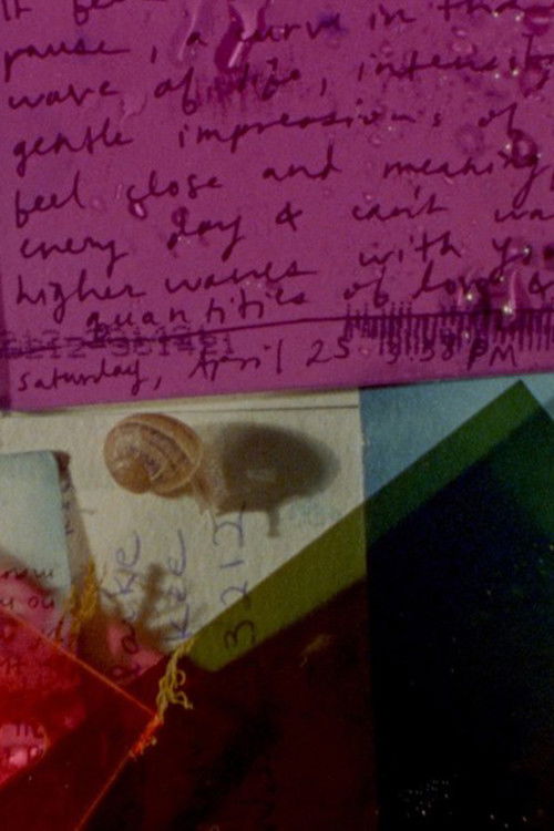 Other Tidal Effects (2021) poster