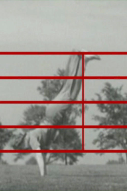 Screen Play (2005) poster