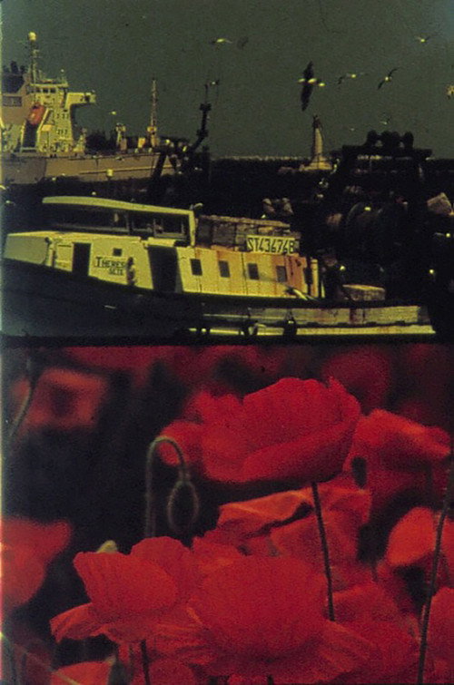 Poppies and Sailboats (2001) poster