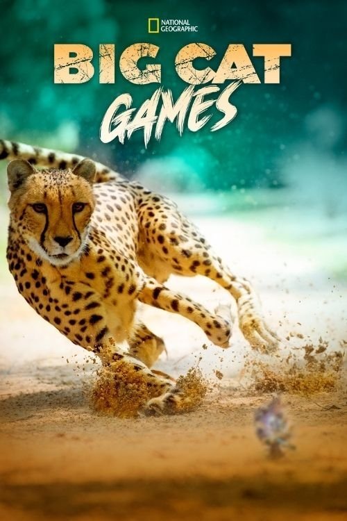 Big Cat Games (2015) poster