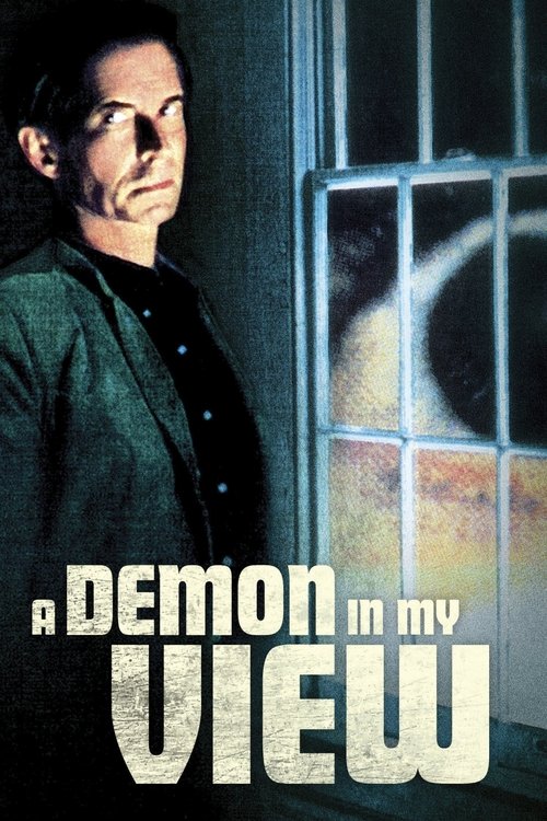 A Demon in My View (1991) poster