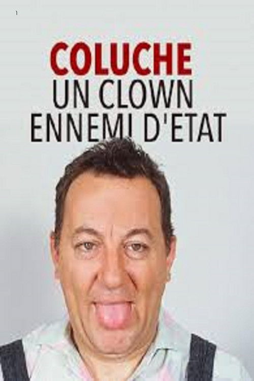 Coluche : Un Clown ennemi d'État (2011) poster