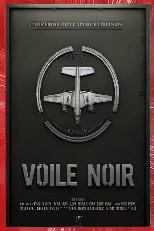 Voile Noir (2013) poster