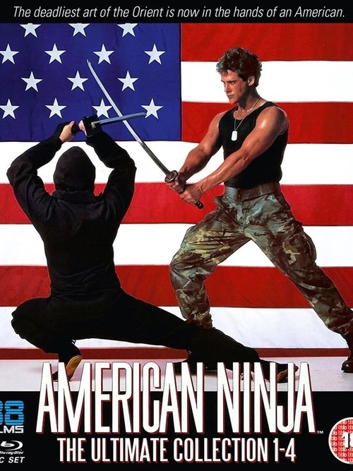 Ninja Gaijin: Remembering a Classic Cannon Franchise (2015) poster