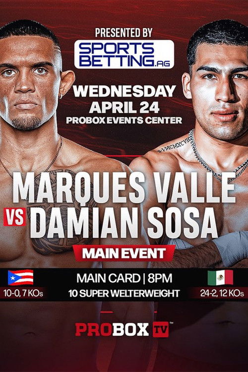 Marques Valle vs. Damian Sosa (2024) poster