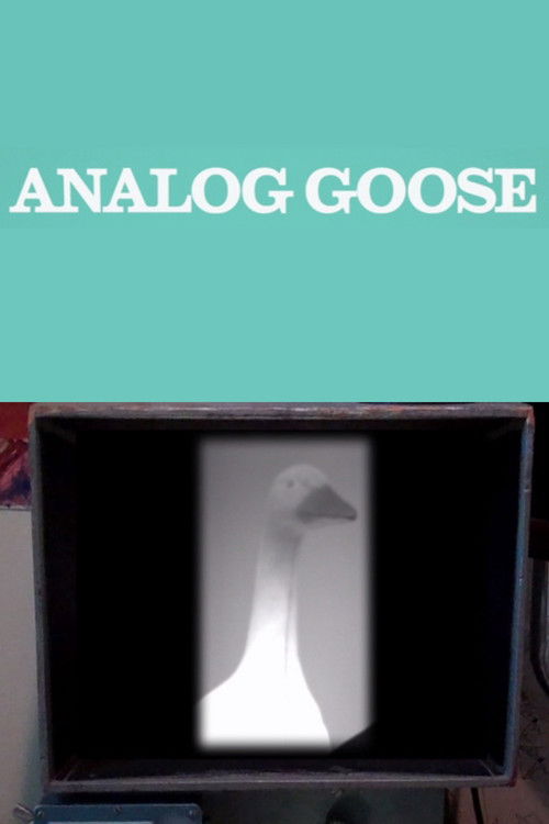 Analog Goose (2013) poster