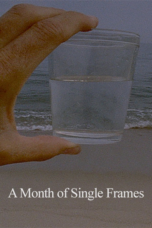 A Month of Single Frames (2019) poster