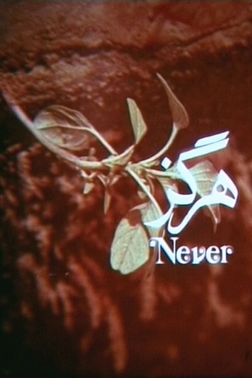 Never (1973) poster