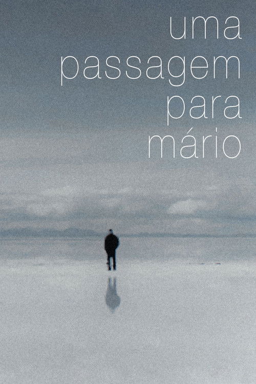 A Journey for Mário (2013) poster