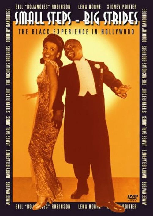 Small Steps, Big Strides: The Black Experience in Hollywood (1998) poster