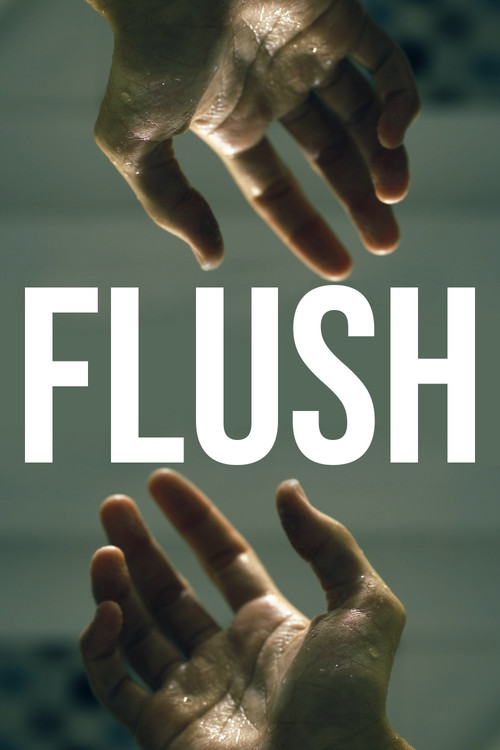 FLUSH (2023) poster