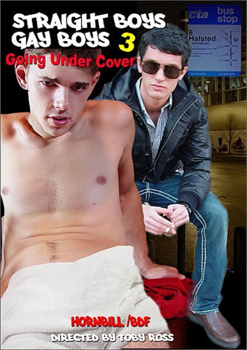 Straight Boys, Gay Boys 3: Going Under Cover (2010) poster