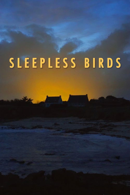 Sleepless Birds (2023) poster