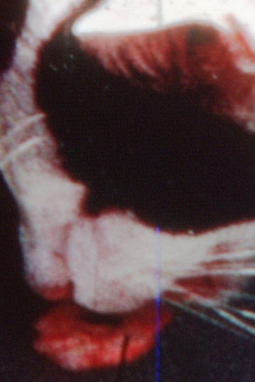 Fishes in the Screaming Water (1969) poster