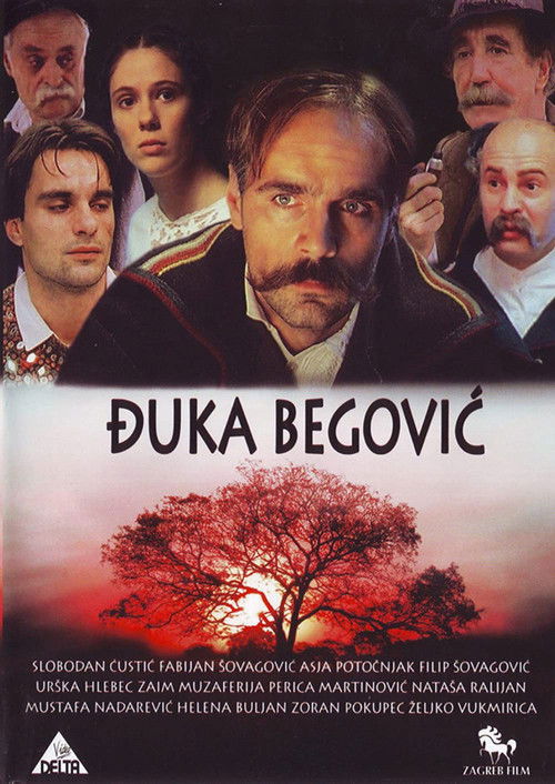 Djuka Begovic (1991) poster