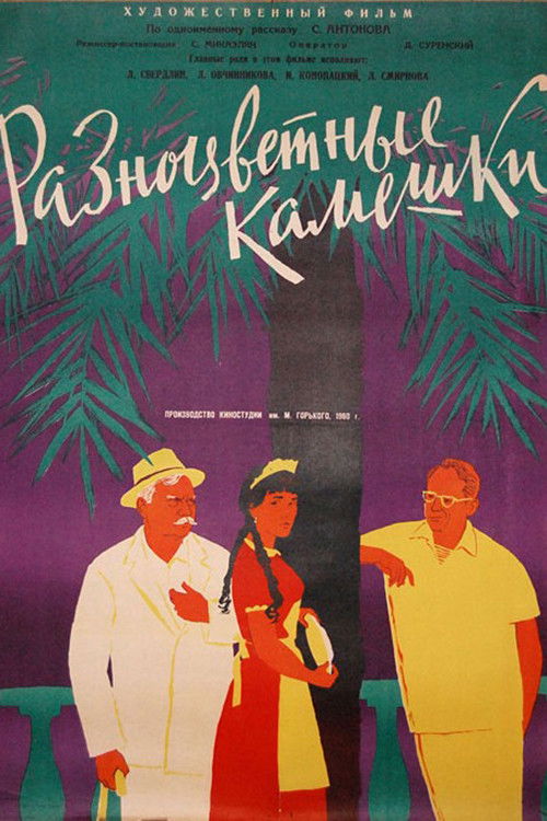 Разноцветные камешки (1960) poster