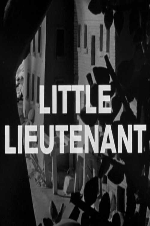 Little Lieutenant (1994) poster