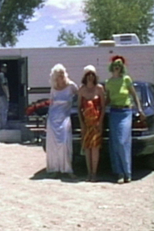 Transformation In the Land of Enchantment (2003) poster