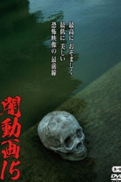 Tokyo Videos of Horror 15 (2016) poster