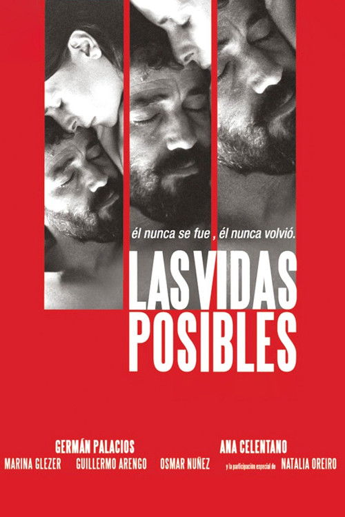 Possible Lives (2008) poster