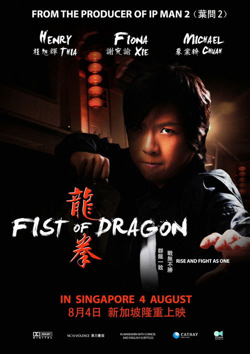 Fist of Dragon (2011) poster