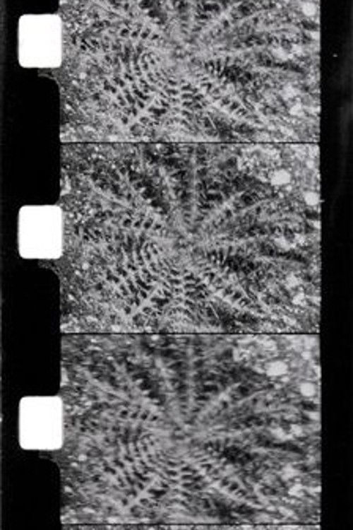 Le printemps (1987) poster