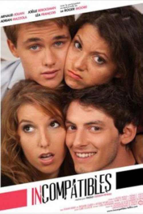 Incompatibles (2013) poster