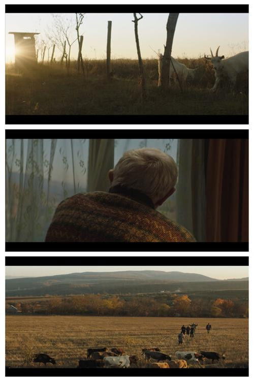 Don’t Leave Home! (2023) poster