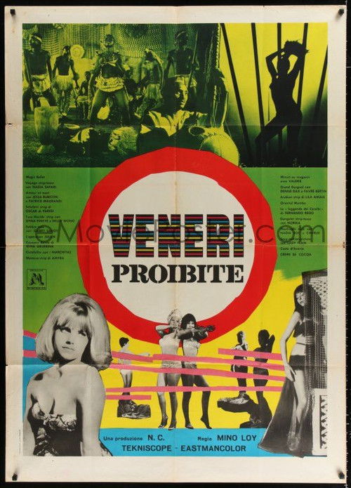 Forbidden Beauties (1964) poster