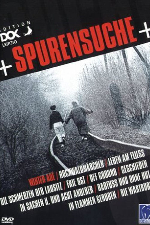 Hochwaldmärchen (1989) poster