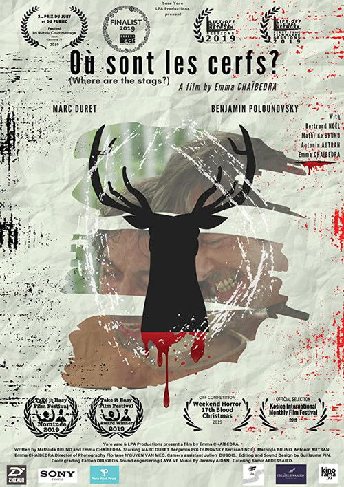 Où sont les Cerfs ? (2019) poster