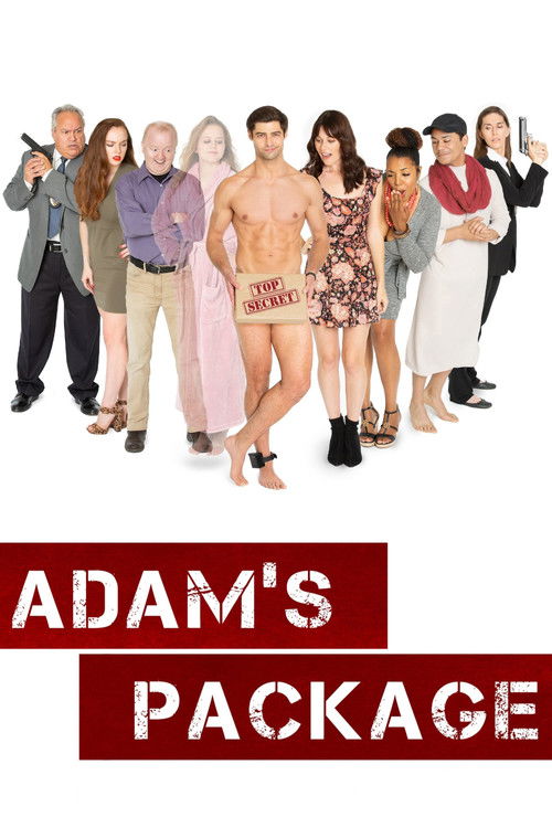 Adam's Package (2019) poster