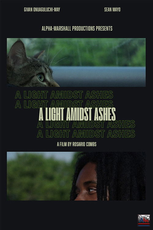 A Light Amidst Ashes (2025) poster
