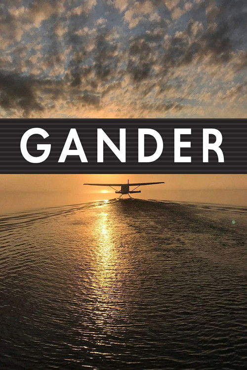 Gander International: The Airport in the Middle of Nowhere (2019) poster