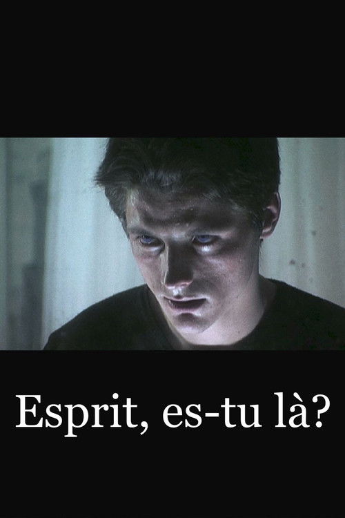 Esprit, es-tu là? (2005) poster