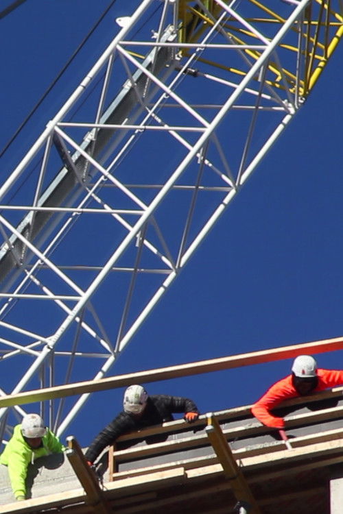 Epiphany (V) (2025) poster