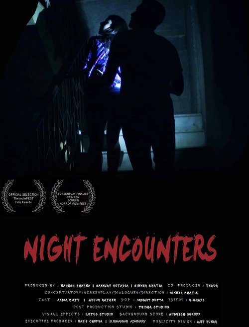 Night Encounters (2023) poster