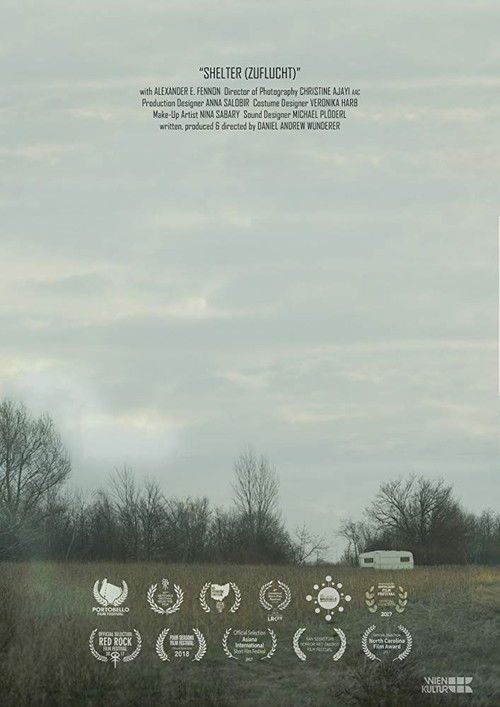 Shelter (2017) poster