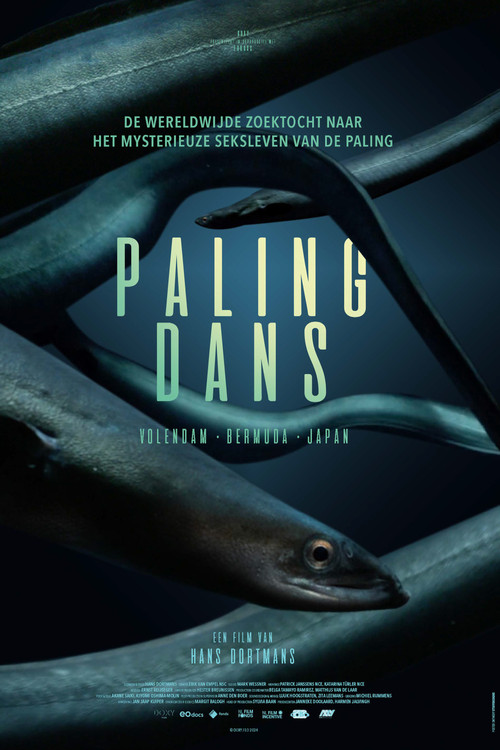 Palingdans (2024) poster